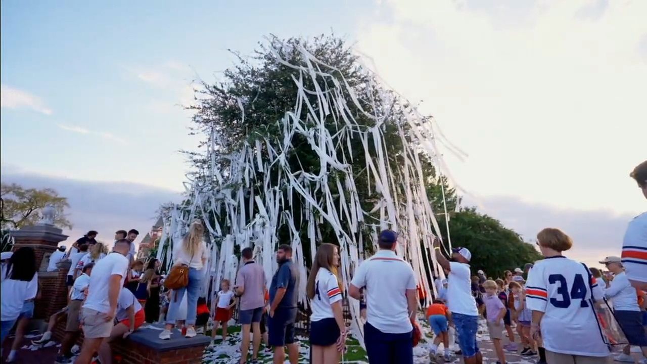 Toomer's Corner 'truly part of the passion' at Auburn